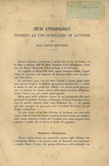 Studi antropologici intorno ad uno scheletro di accinese - Paolo Riccardi - copertina