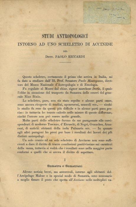 Studi antropologici intorno ad uno scheletro di accinese - Paolo Riccardi - copertina