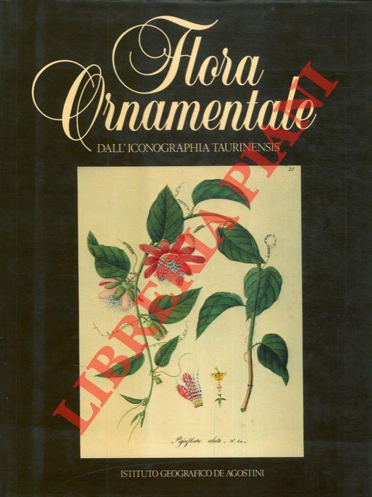 Flora ornamentale dall'Iconographia Taurinensis