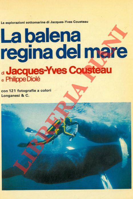 La balena regina del mare