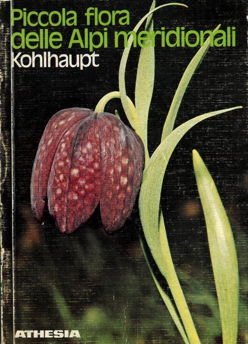 Piccola flora delle Alpi meridionali - Paula Kohlhaupt - copertina