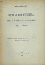 Sopra la fine struttura delle capsule surrenali degli anfibii