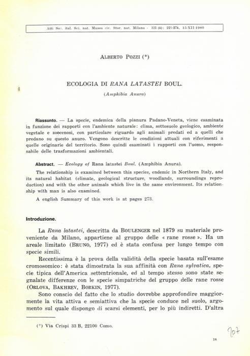 Ecologia di Rana latastei Boul. (Amphibia Anura) - Alberto Pozzi - copertina