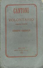 Cantoni il volontario. Romanzo storico