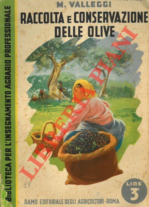 L' Africa del Fiume Congo