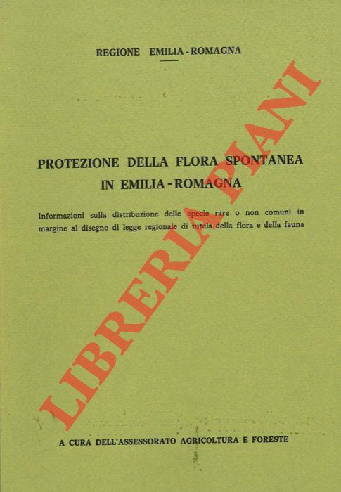 Libreria Piani