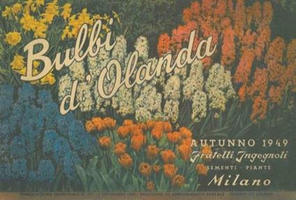 Bulbi d'Olanda - Ingegnoli Fratelli - copertina