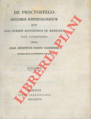 De proctostegi cute ac internorum viscerum dispositione et structura