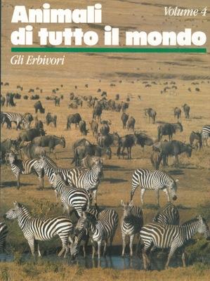 Libreria Piani