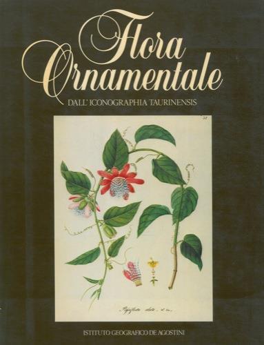 Flora ornamentale dall'Iconographia Taurinensis - Franco Montacchini,G. Forneris - copertina