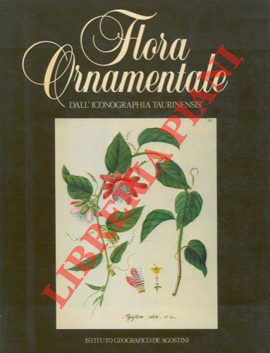 Flora ornamentale dall'Iconographia Taurinensis