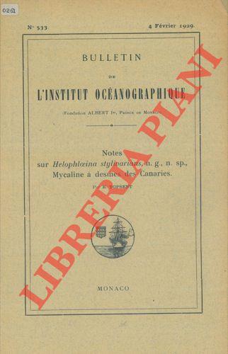 Notes sur Helophloeina stylivarians, n. g. , n. sp. , Mycaline à desmes des Canaries