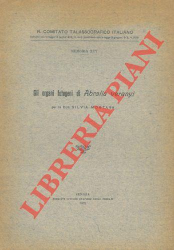 Gli organi fotogeni di Abralia veranyi