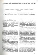 Il riparo di Moletta Patone di Arco nel Trentino meridionale. Analisi degli oggetti di corredo in metallo (M.L.). Osteometria dei resti umani rinvenuti nel sepolcreto dell'età del Rame di Moletta Patone (C.C. )
