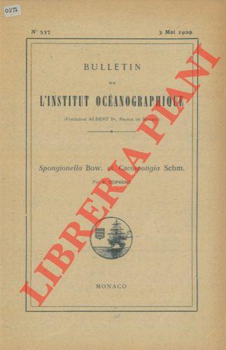 Libreria Piani