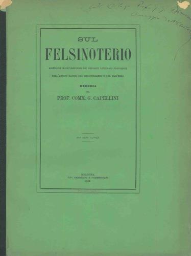 Sul felsinoterio sirenoide halicoreforme dei depositi littoriali pliocenici dell'antico bacino del Mediterraneo e del Mar Nero - Giovanni Capellini - copertina