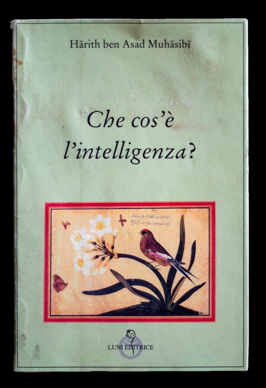 Libreria Trippini Sergio