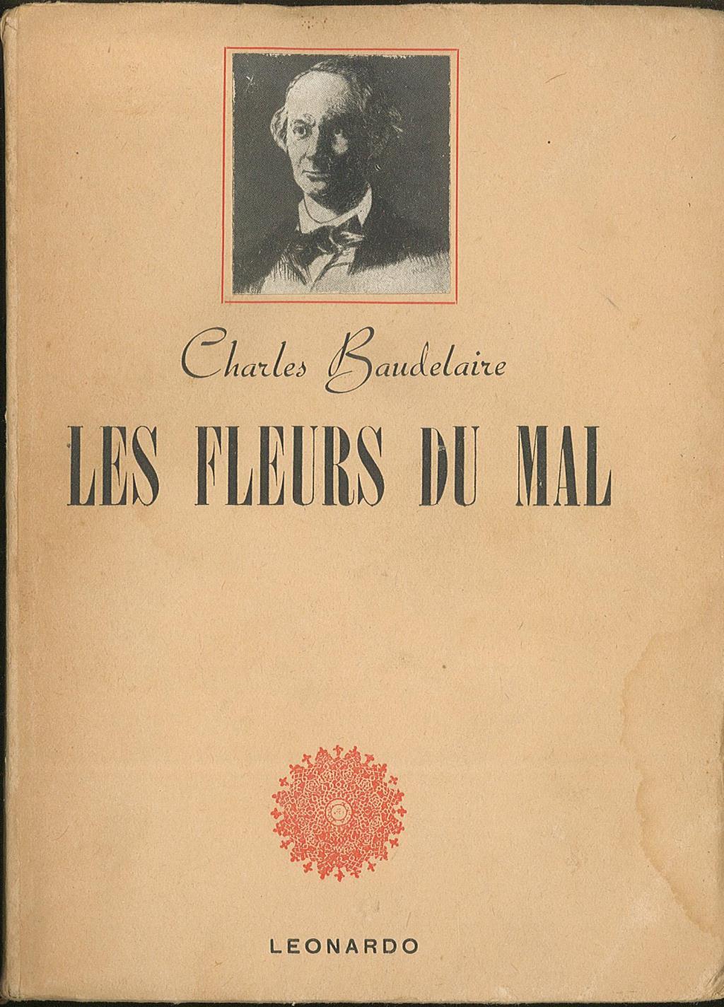 Libreria Trippini Sergio