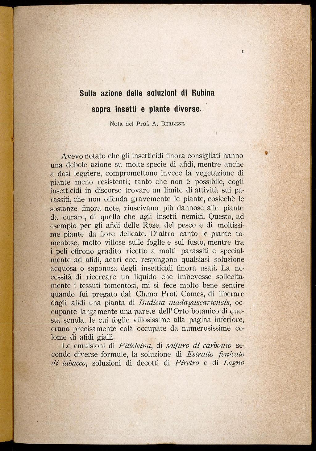 Sulla azione delle soluzioni di Rubina sopra insetti e piante diverse