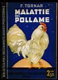 Malattie del pollame - Federico Tornar - copertina