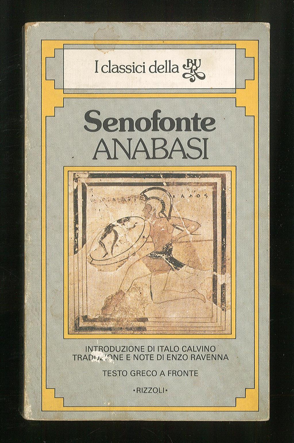 Libreria Trippini Sergio