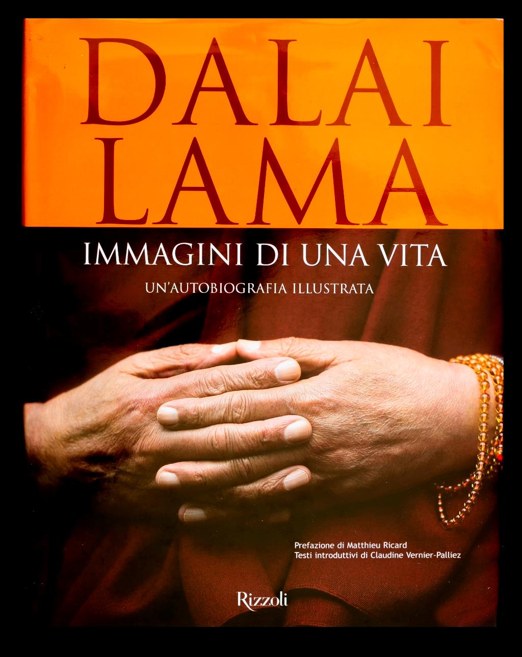 Libreria Trippini Sergio