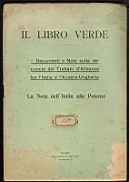Il libro verde