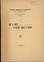 Come si risolve la questione agraria in Romagna - Adolfo Bellucci - copertina