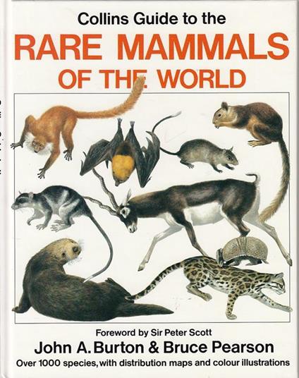 Rare Mammals of the World Guide - John A. Burton,Bruce Pearson - copertina