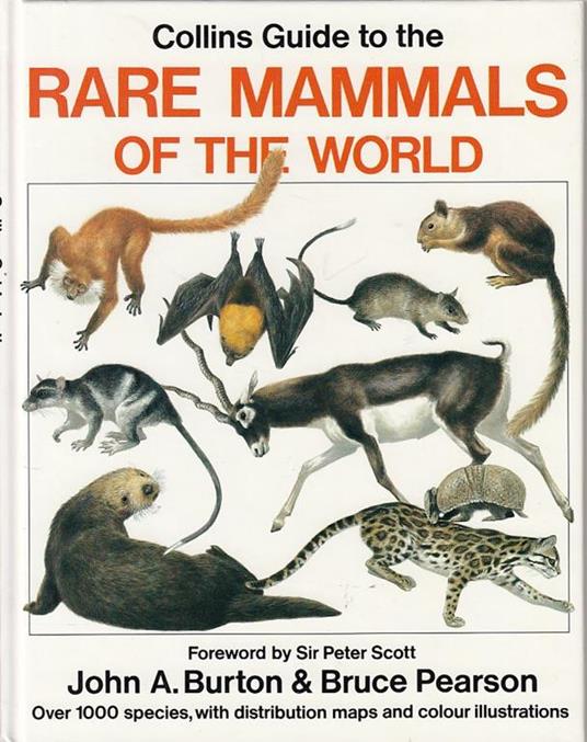 Rare Mammals of the World Guide - John A. Burton,Bruce Pearson - copertina