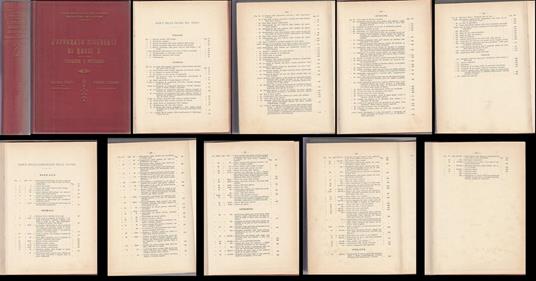 L' Apparato Digerente Ai Raggi X Fisiologia E Patologia - copertina