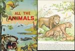 All The Animals Illustrated- Bruno Tomba Allevi