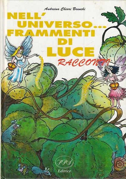 Nell'universo Frammenti Di Luce - Andreina Chiari Branchi - copertina