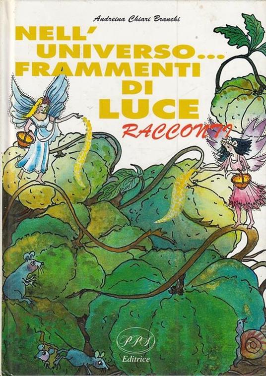 Nell'universo Frammenti Di Luce - Andreina Chiari Branchi - copertina