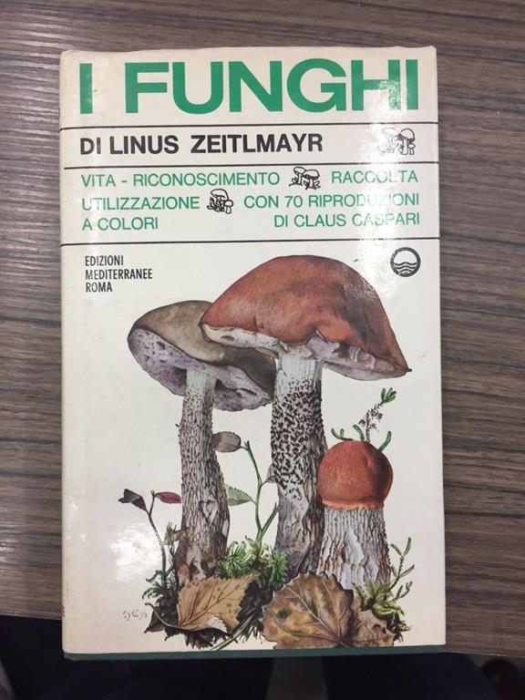 L'Odissea Libri e Arte