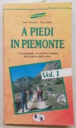 A piedi in Piemonte. Vol. 1. 114 passeggiate, escursioni e trekking alla scoperta della natura