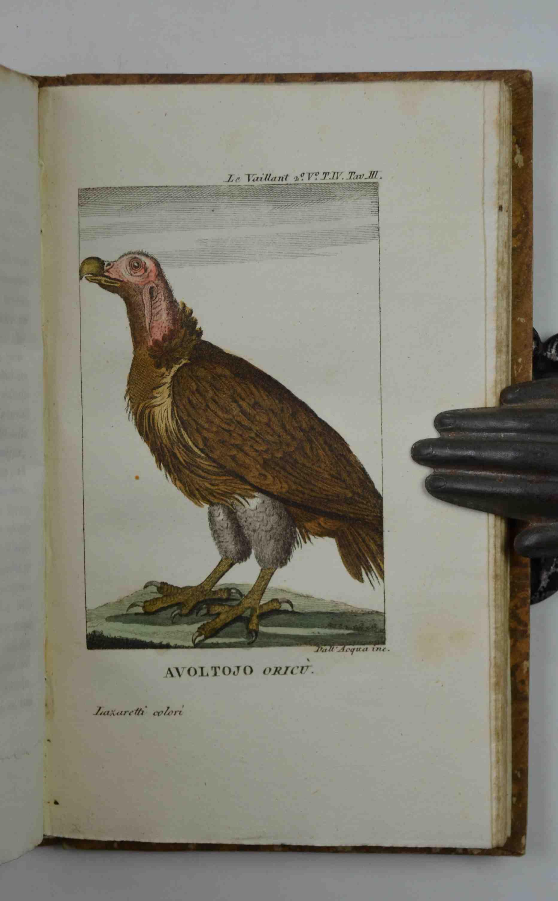 Secondo viaggio nell'interno dell'Africa pel capo di Buona Speranza, Traduzione dall'originale francese di F. Contarini