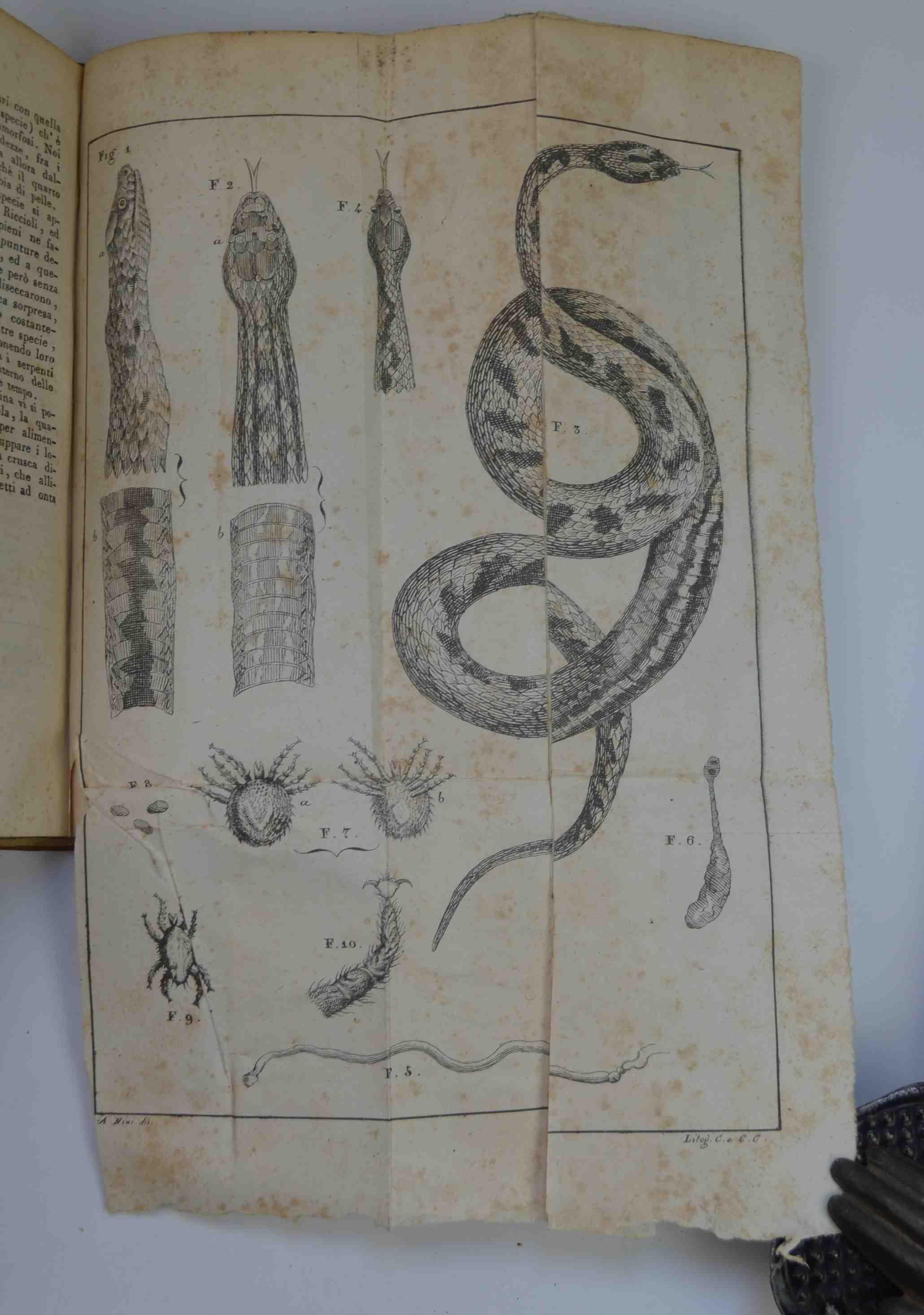 Studio bibliografico Benacense