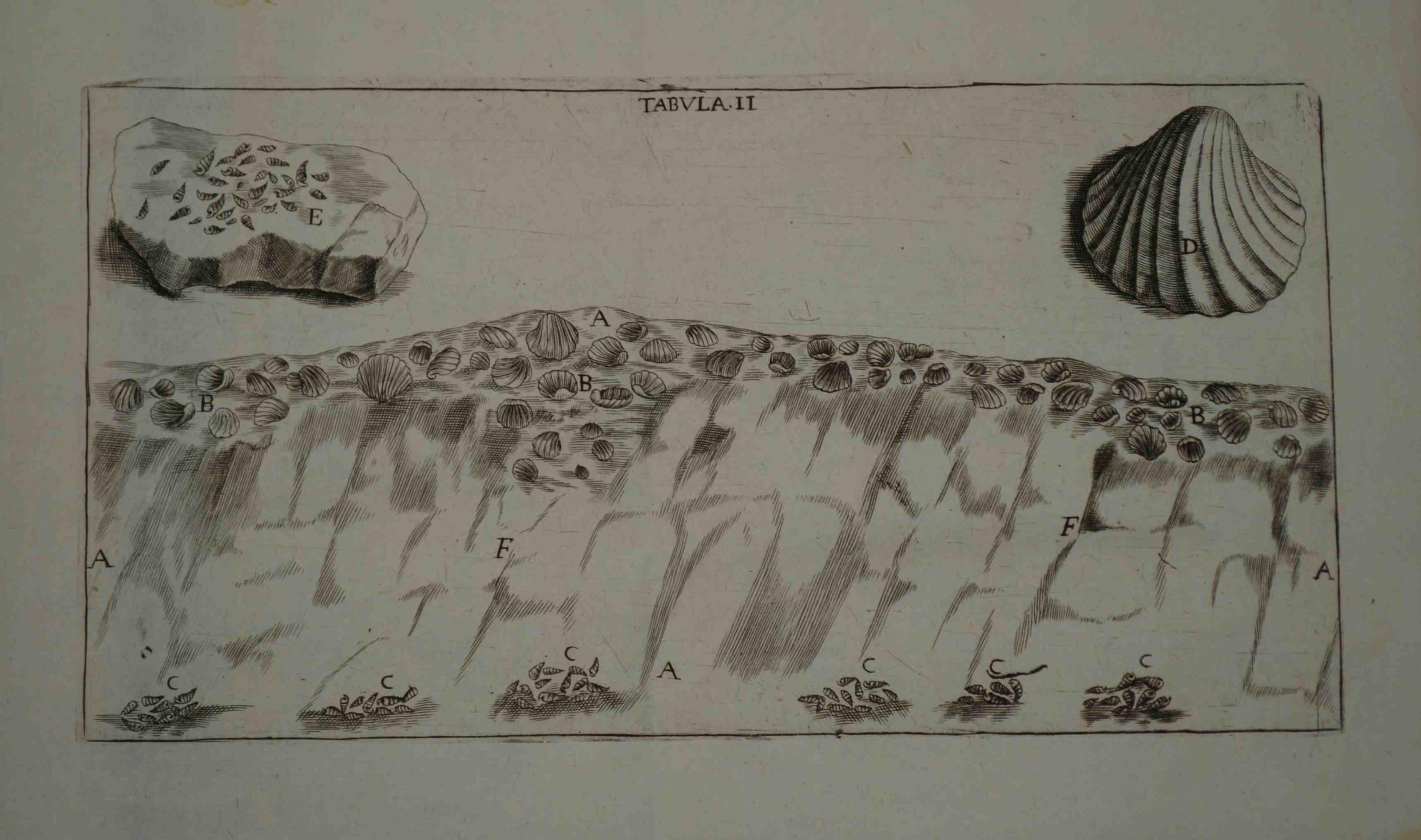 Raccolta di varie osservazioni spettanti all'Istoria Medica, e Naturale… Con varie Annotazioni, e Giunte, compilate da Gio. Jacopo Danielli, medico e Filosofo di Padova…