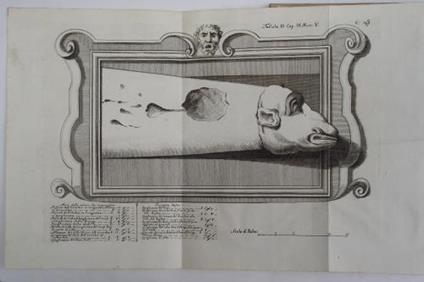 Excursus litterarii per Italiam ab anno MDCCXLII. ad annum MDCCLII - Francesco Zaccaria - copertina