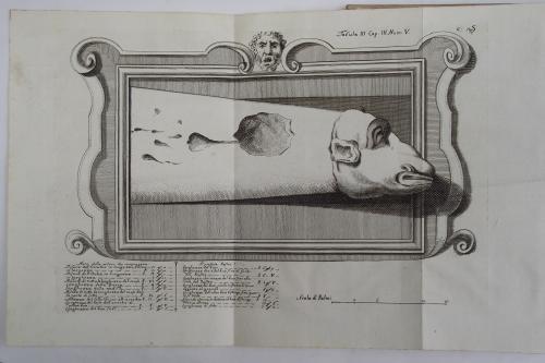 Excursus litterarii per Italiam ab anno MDCCXLII. ad annum MDCCLII - Francesco Zaccaria - copertina