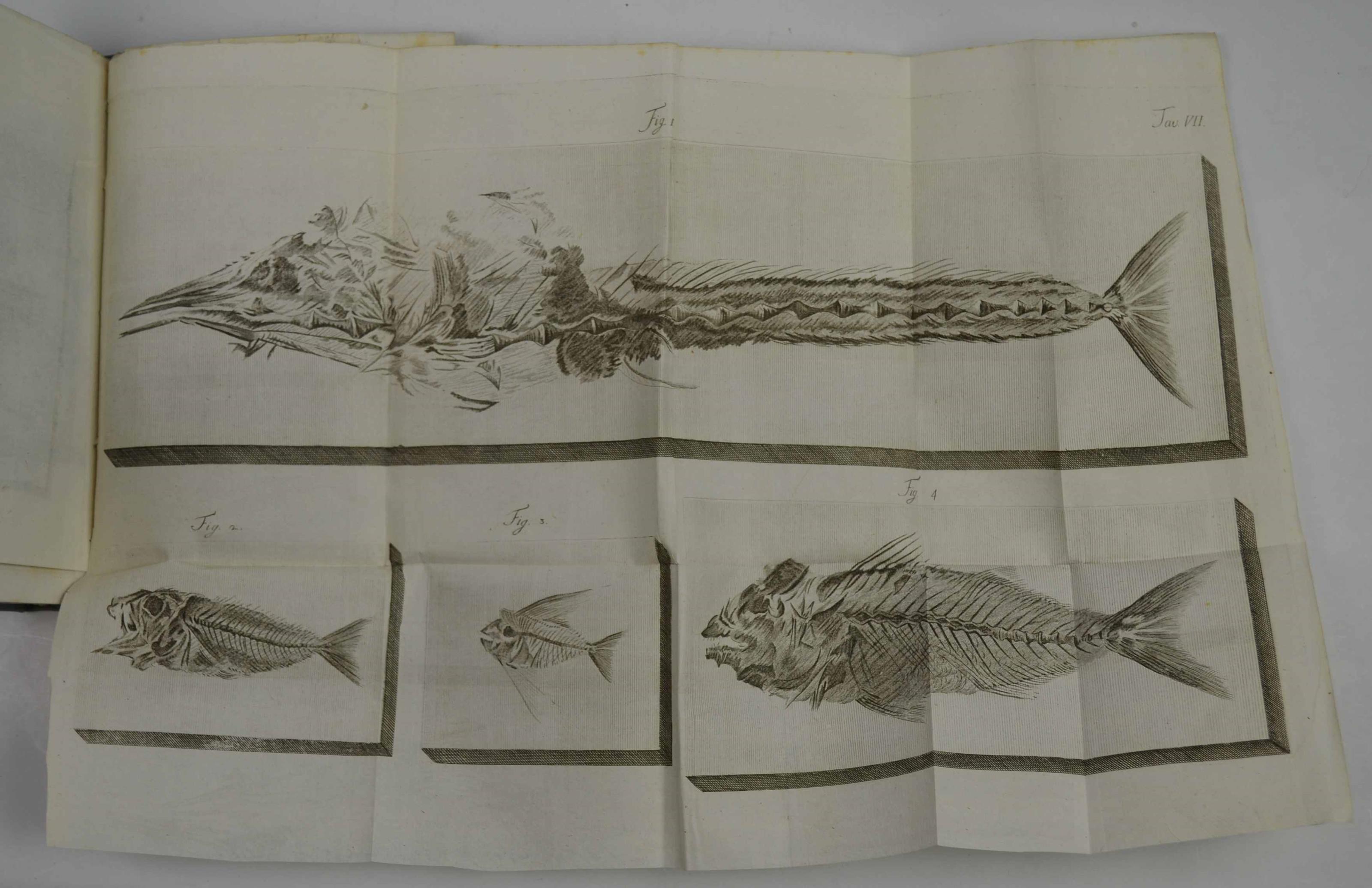 Compendio della Verona illustrata principalmente ad uso de' forestieri… Coll'aggiunta del museo lapidario e d'altre notizie importanti, e nuovi rami