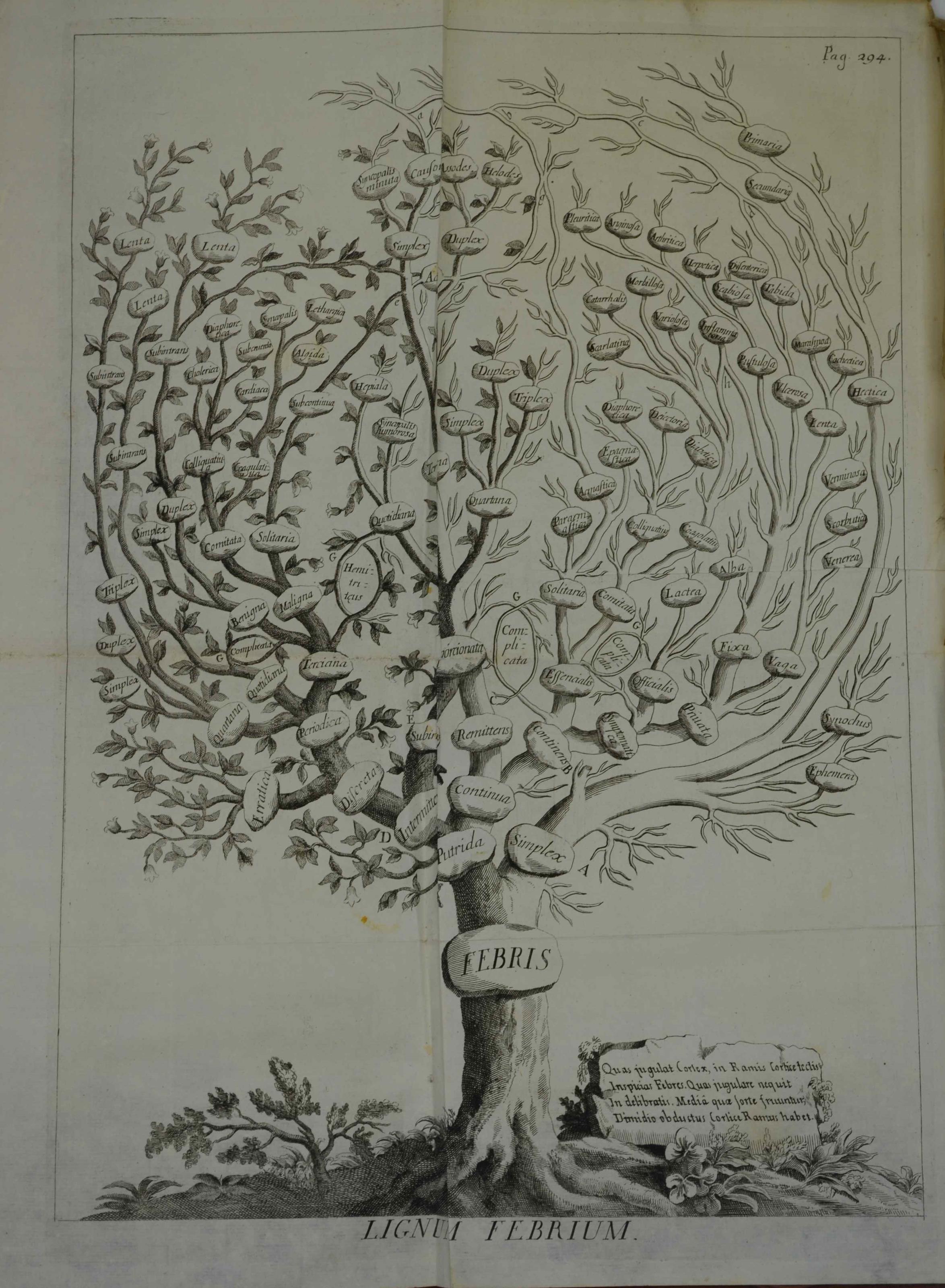 Studio bibliografico Benacense