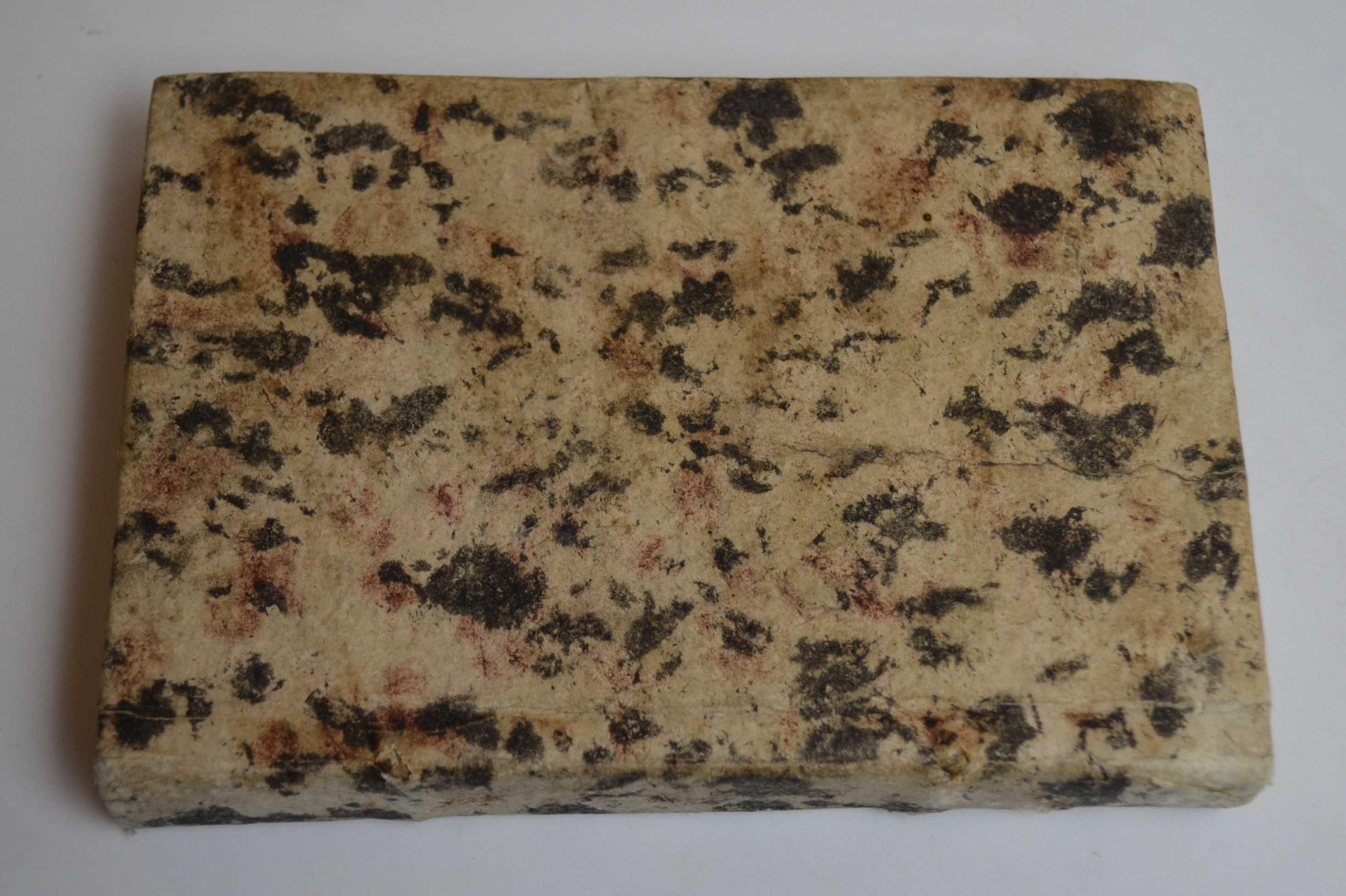La Secchia rapita