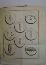 Opuscules de physique, animale et végétale Traduits de l'italien par Jean Senebier