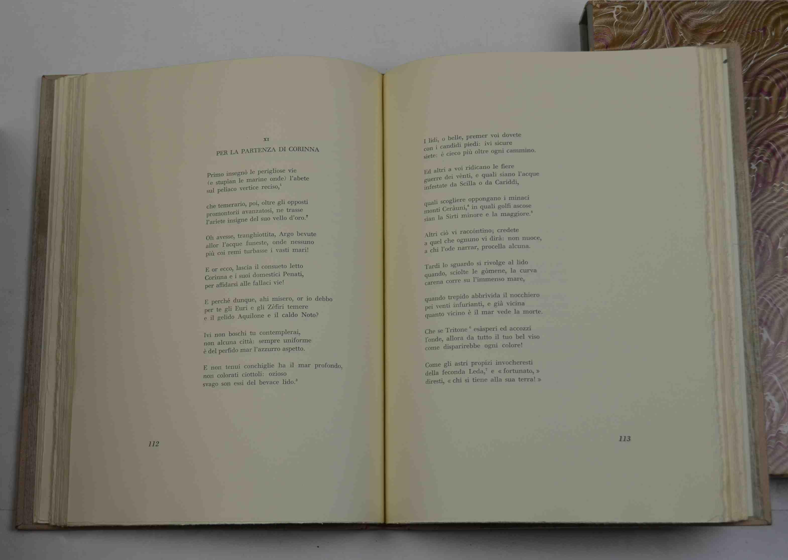 Amori. Versione poetica di Guido Vitali