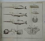 Gramatica delle scienze filosofiche. O breve analisi della filosofia moderna appoggiata alle sperienze di Beniamino Martin.