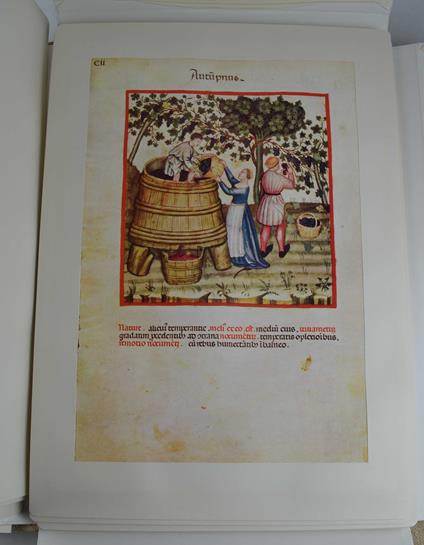 Theatrum sanitatis. Codice 4182 della R. Biblioteca Casanatense - copertina