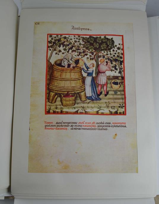 Theatrum sanitatis. Codice 4182 della R. Biblioteca Casanatense - copertina
