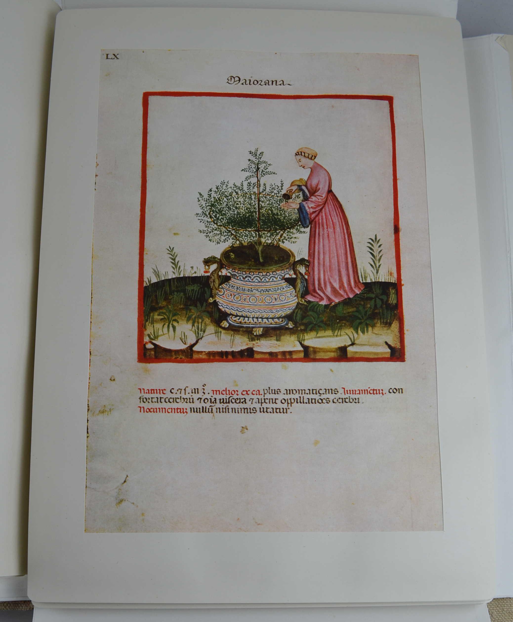 Studio bibliografico Benacense